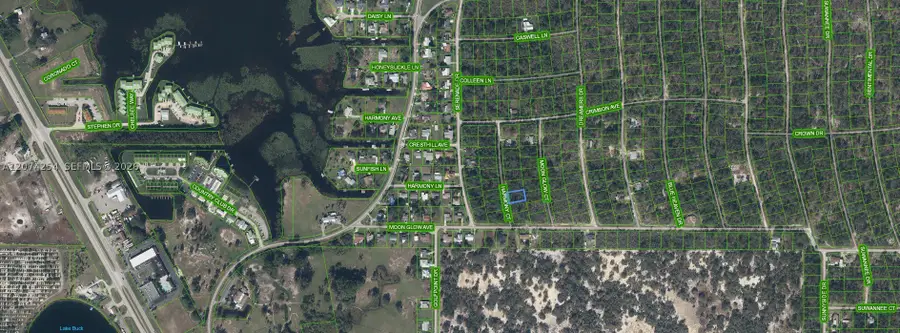 209 Harmony, Lake Placid, FL 33852 - #3