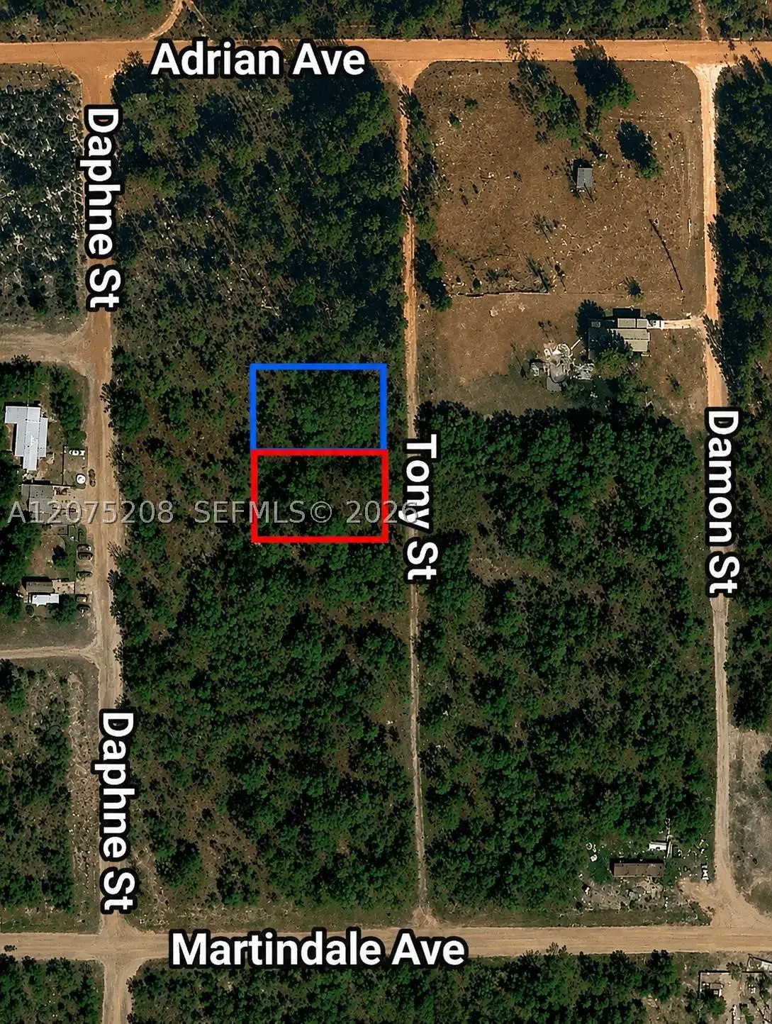 0 Toby, Interlachen, FL 32148 - #1
