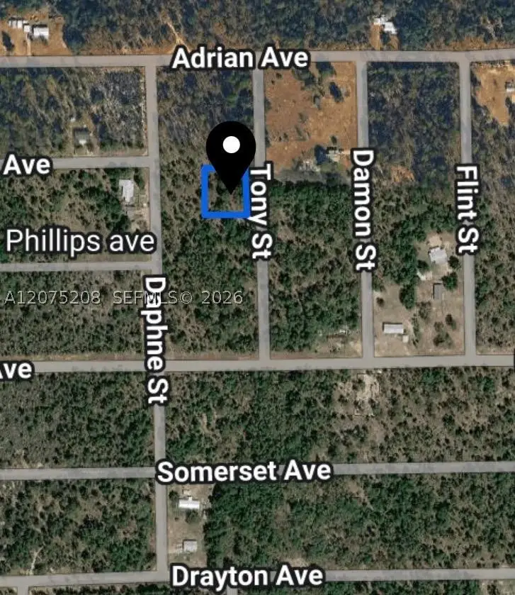 0 Toby, Interlachen, FL 32148 - #2