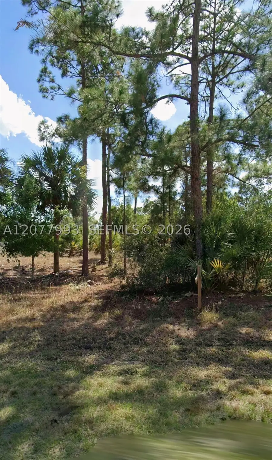536 Hunting Club, Montura, FL 33220 - #3