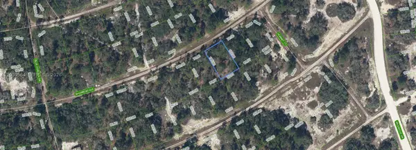 387 Showboat, Lake Placid, FL 33852
