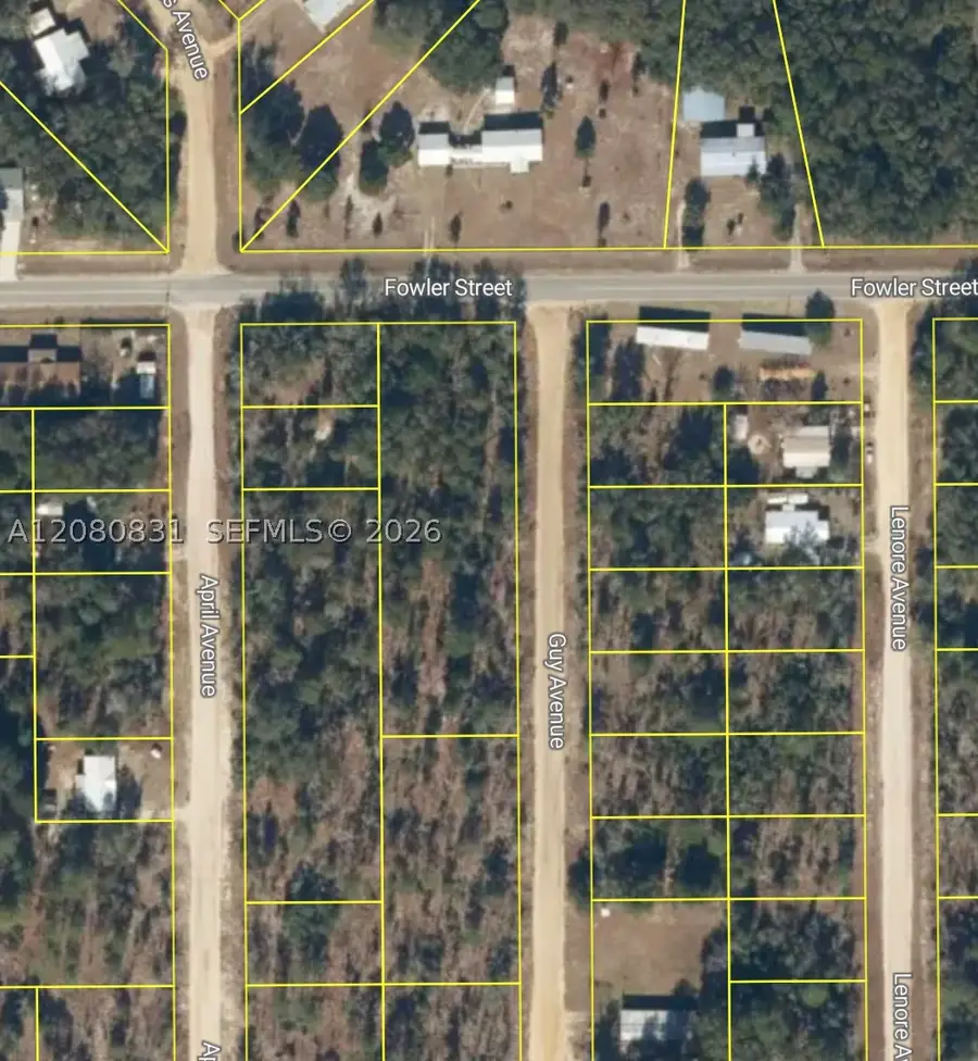 0 Guy, Interlachen Florahome, FL 32148 - #3