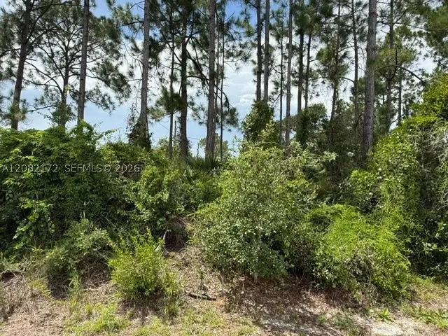 3607 Peugeot, Sebring, FL 33872 - #3