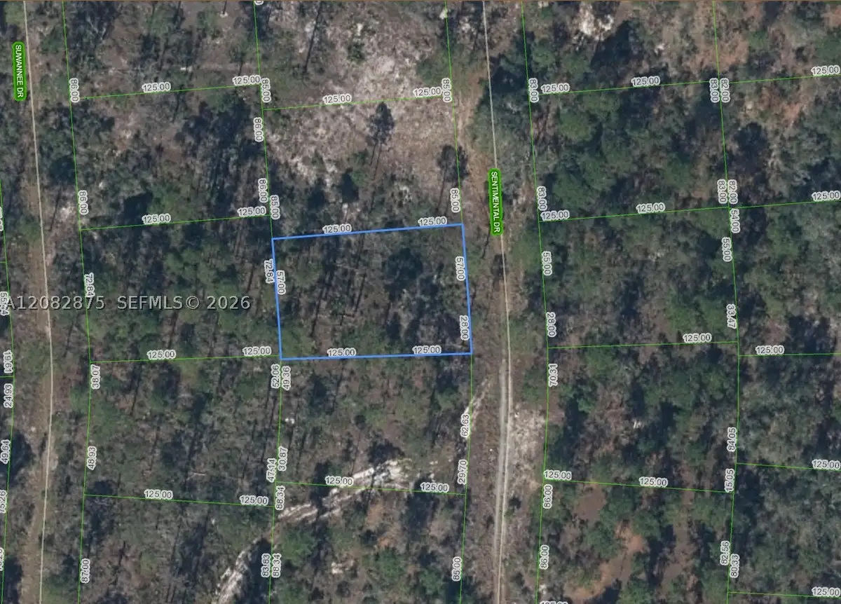 264 Sentimental, Lake Placid, FL 33852 - #1