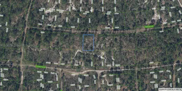 359 Paradise, Lake Placid, FL 33852