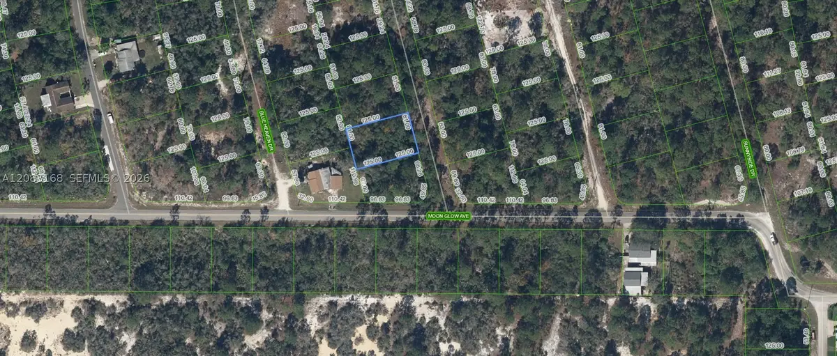 204 Rainbow, Lake Placid, FL 33852 - #1