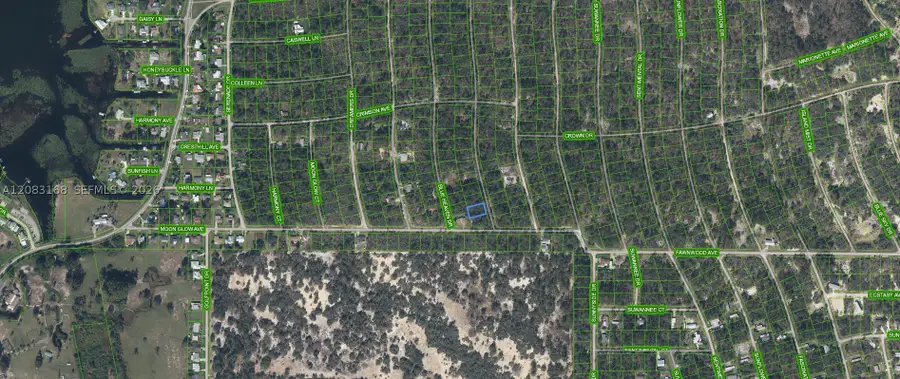 204 Rainbow, Lake Placid, FL 33852 - #2