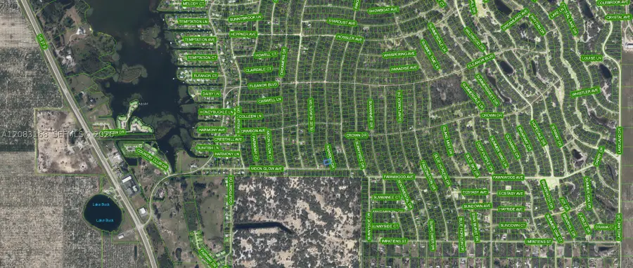 204 Rainbow, Lake Placid, FL 33852 - #3