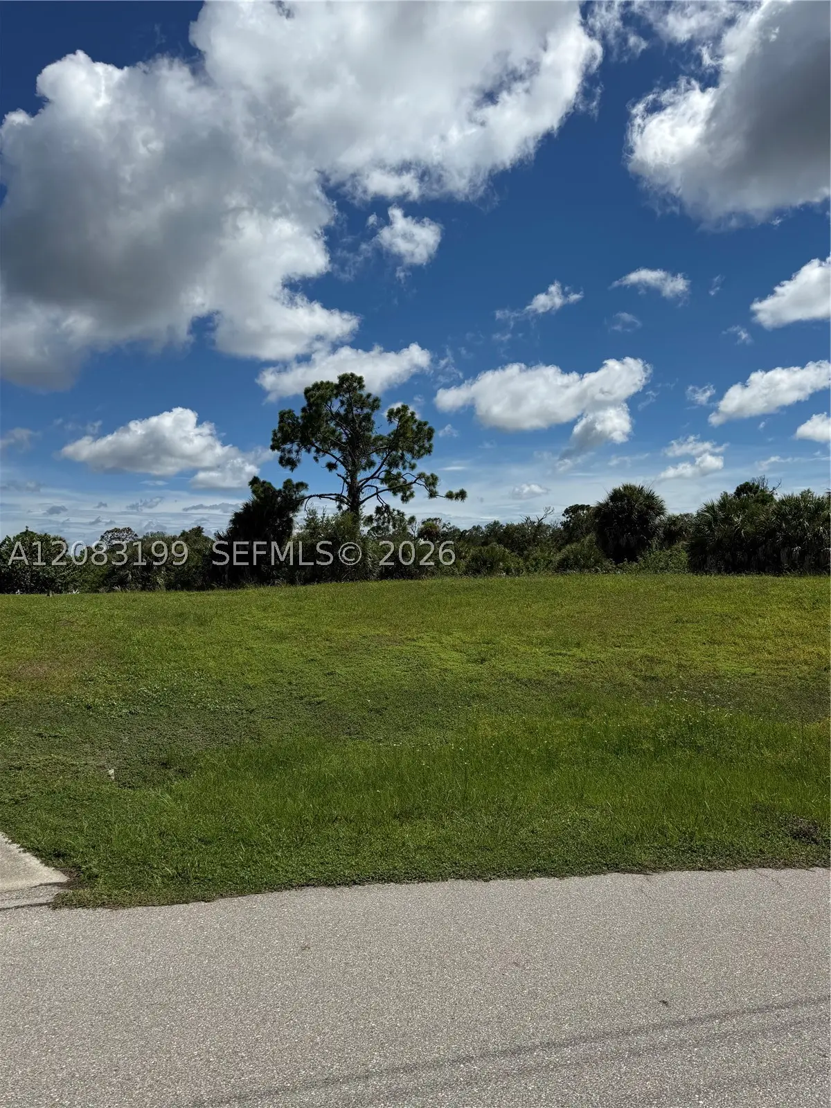 2336 Hale, Port Charlotte, FL 33953 - #1