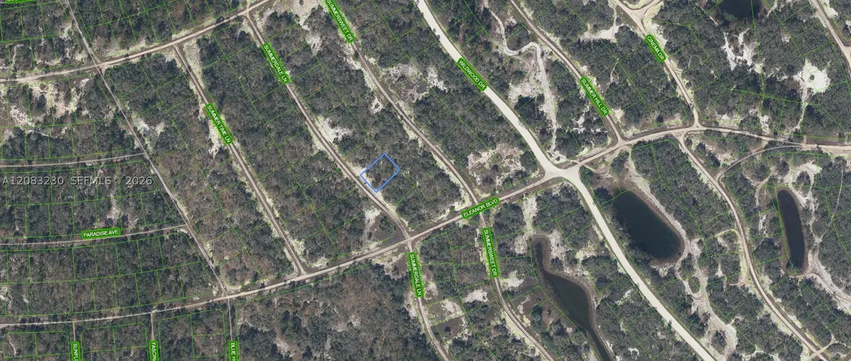 337 Summerdale, Lake Placid, FL 33852 - #1