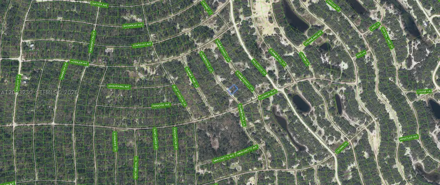 337 Summerdale, Lake Placid, FL 33852 - #2