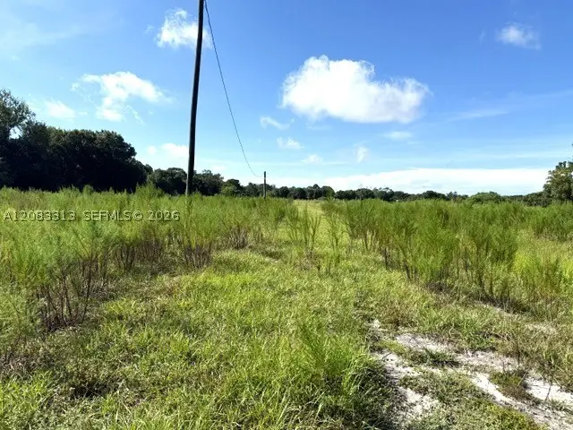 3003 Hicks, Lorida, FL 33857 - #2