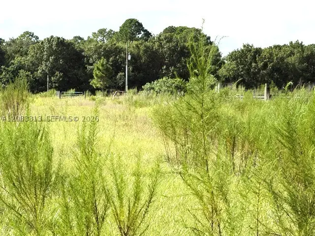 3003 Hicks, Lorida, FL 33857 - #3