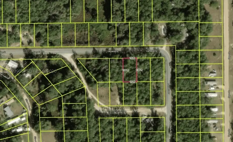[107] Carnation, Interlachen Florahome, FL 32148 - #3