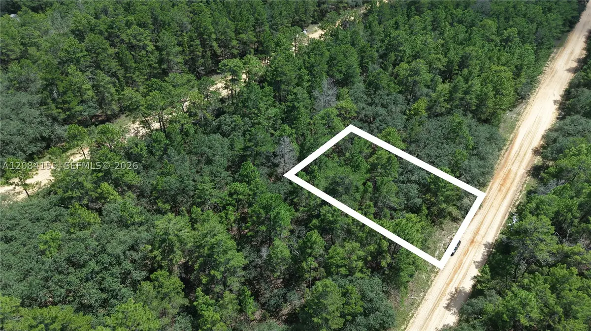 N/A Neilsen, Interlachen Florahome, FL 32148 - #1