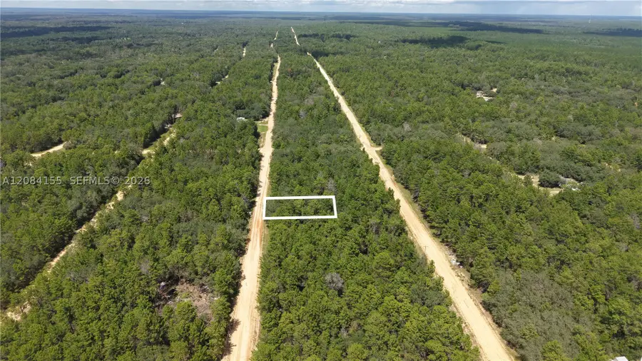 N/A Neilsen, Interlachen Florahome, FL 32148 - #2