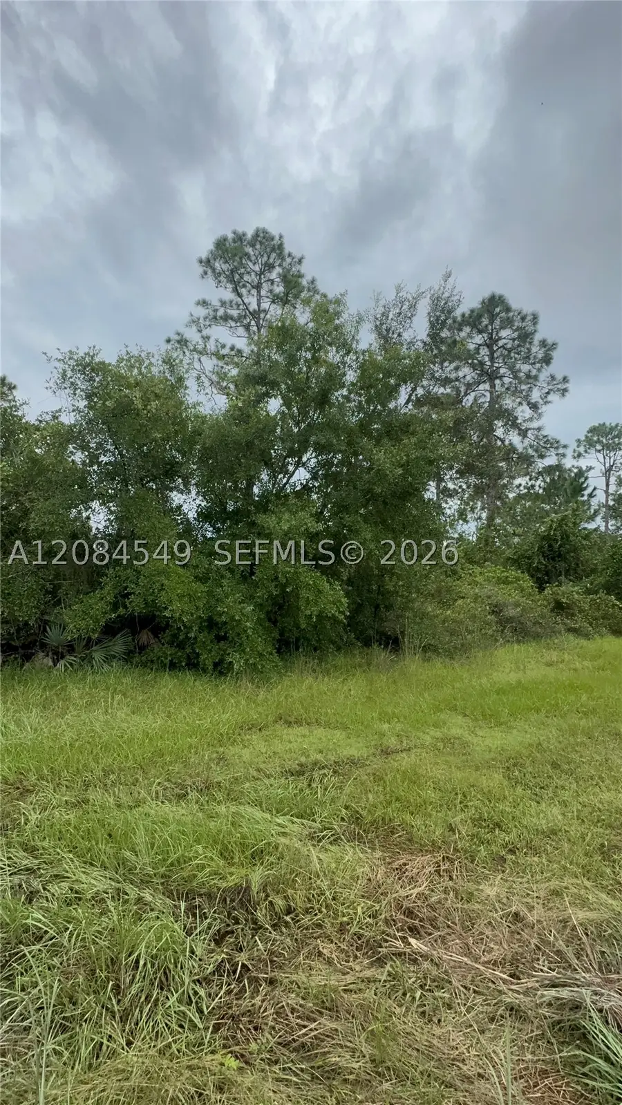 1345 Sable Palm, Christmas, FL 32709 - #2
