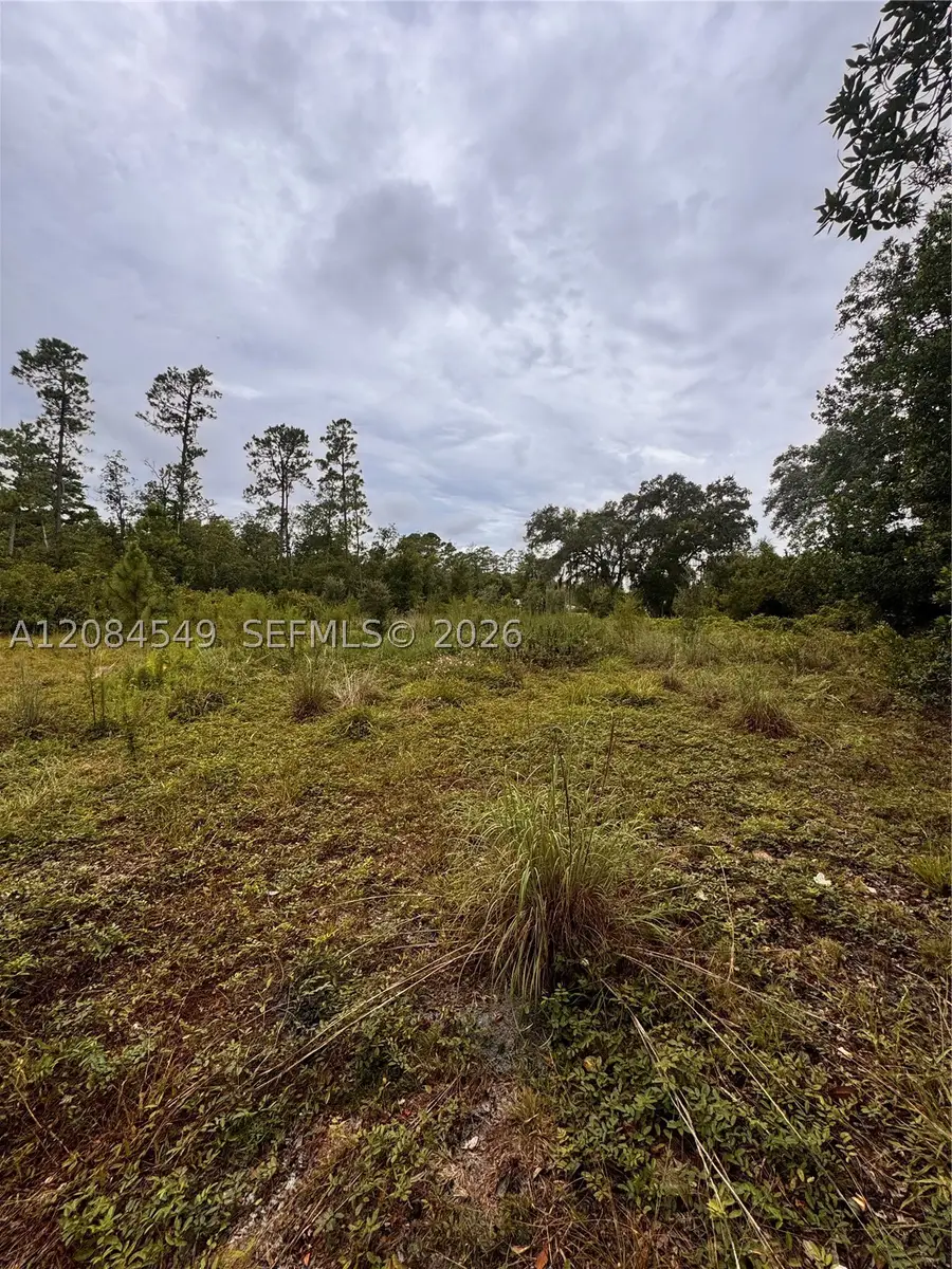 1345 Sable Palm, Christmas, FL 32709 - #3