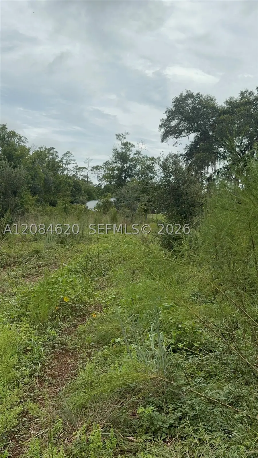 1219 Sable Palm, Christmas, FL 32709 - #2