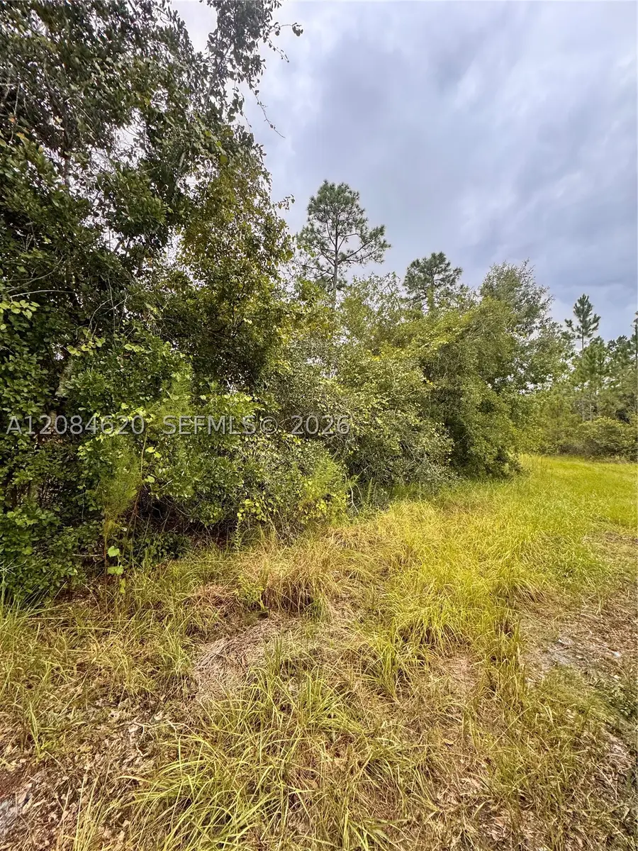 1219 Sable Palm, Christmas, FL 32709 - #3