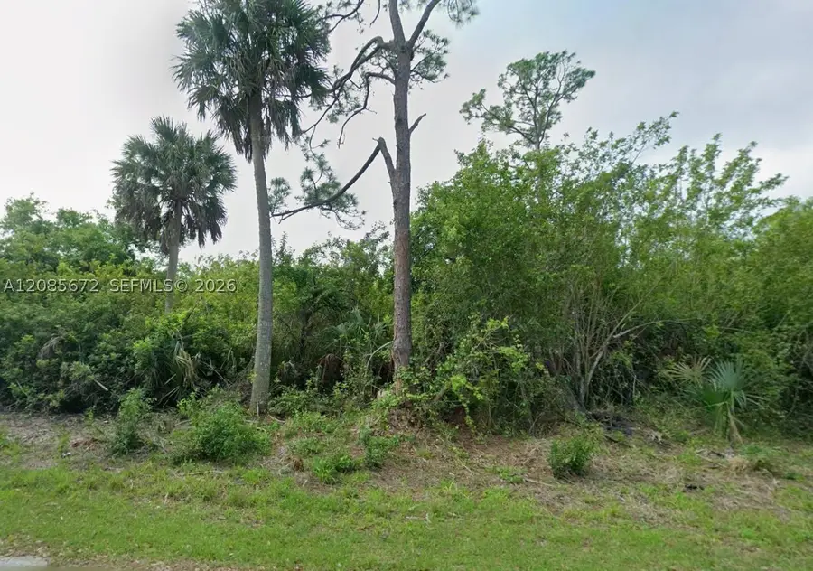 23351 Buckner, Punta Gorda, FL 33980 - #2