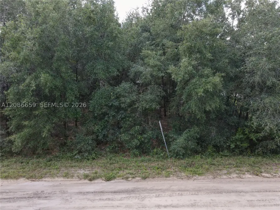 416 Trenton, Interlachen Florahome, FL 32148 - #3