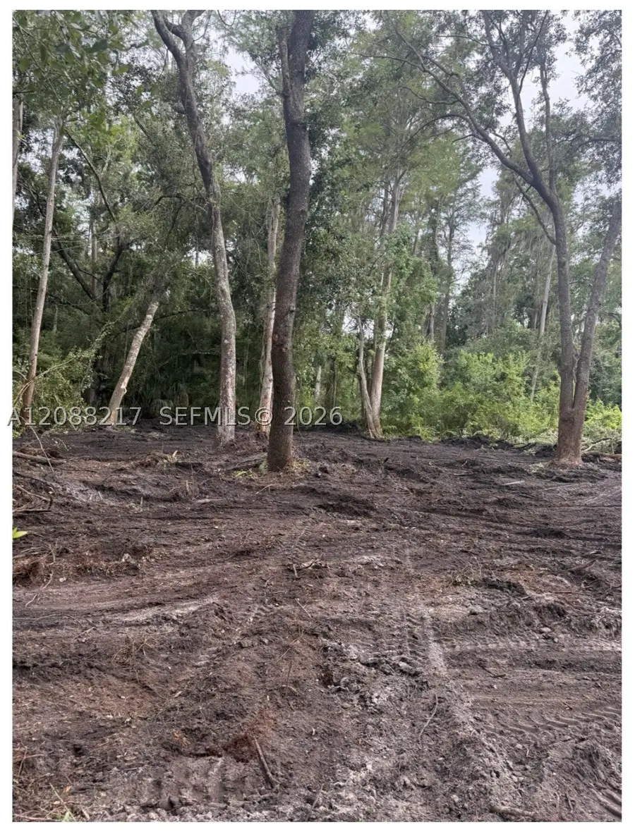 3 Anno, Citrus Park, FL 33625 - #3