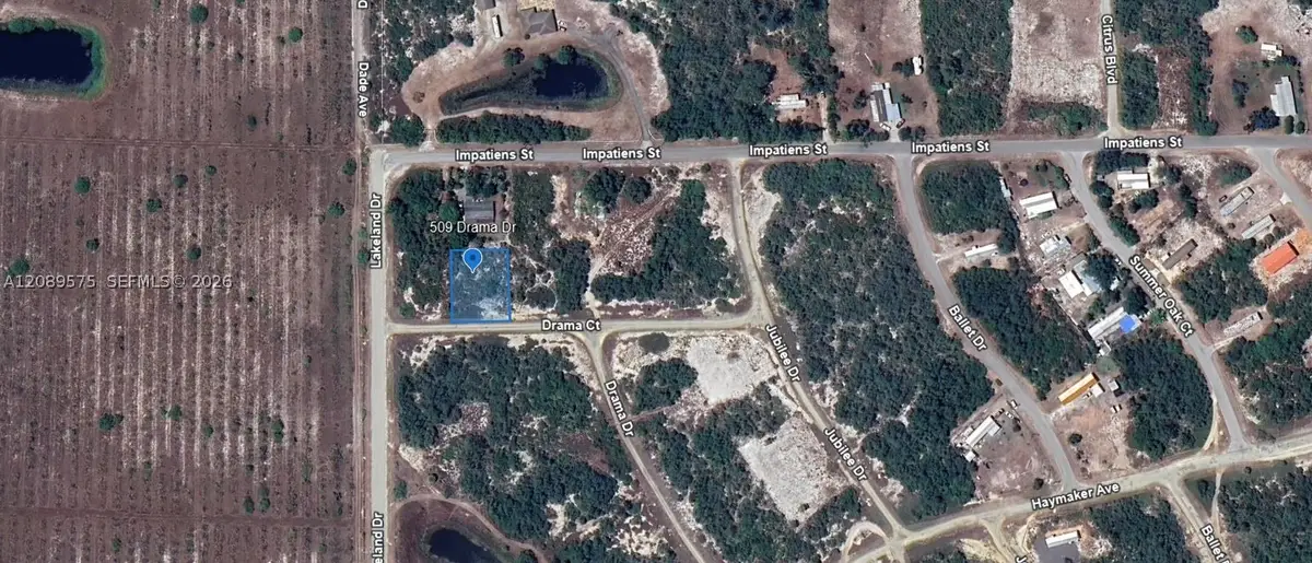 509 Drama, Lake Placid, FL 33852 - #1