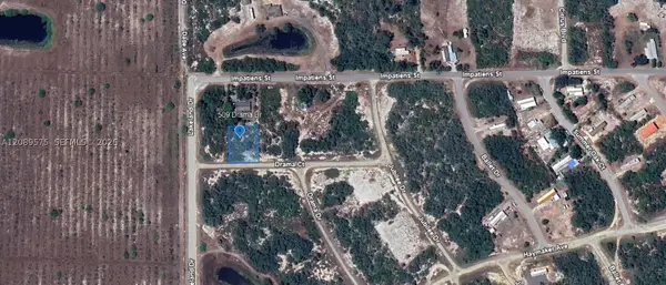 509 Drama, Lake Placid, FL 33852