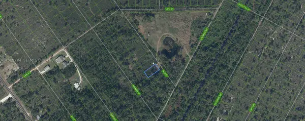 546 Palm, Lake Placid, FL 33852