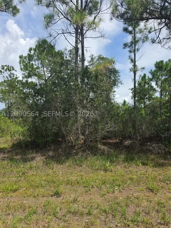 0 Tropicana, Other Fl City, FL 33855