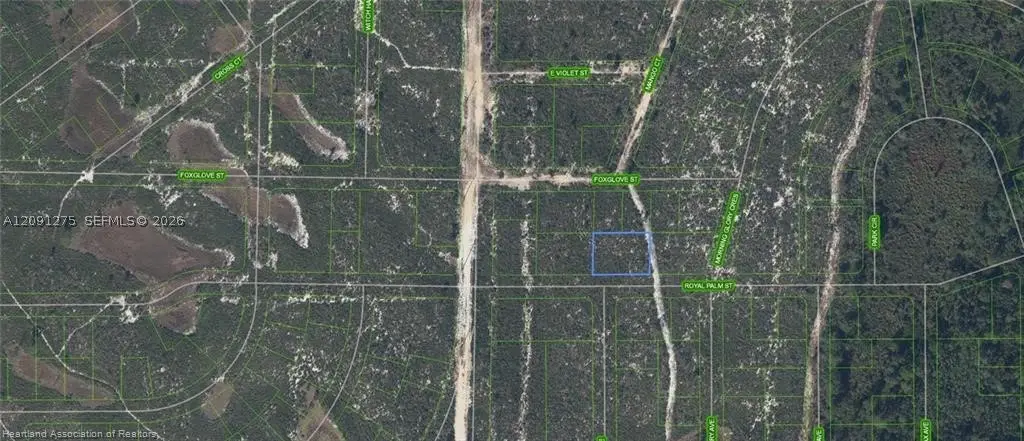 6033 Royal Palm, Sebring, FL 33870 - #1