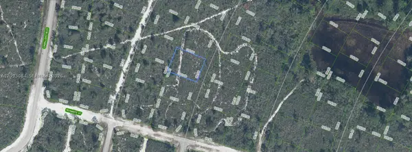 6658 Cotorro, Sebring, FL 33872