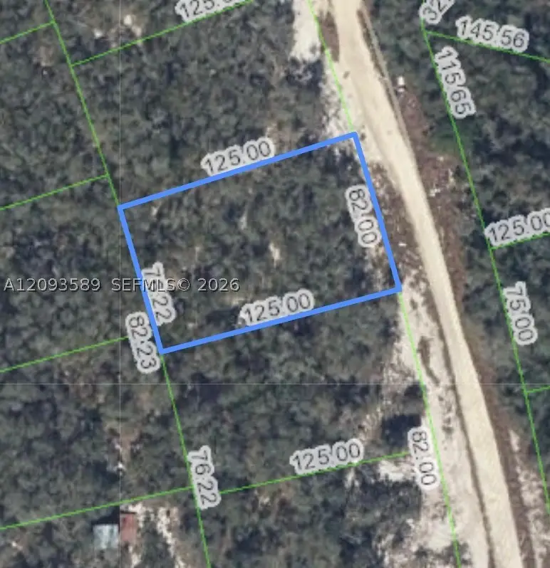 210 Sunway, Lake Placid, FL 33852 - #3