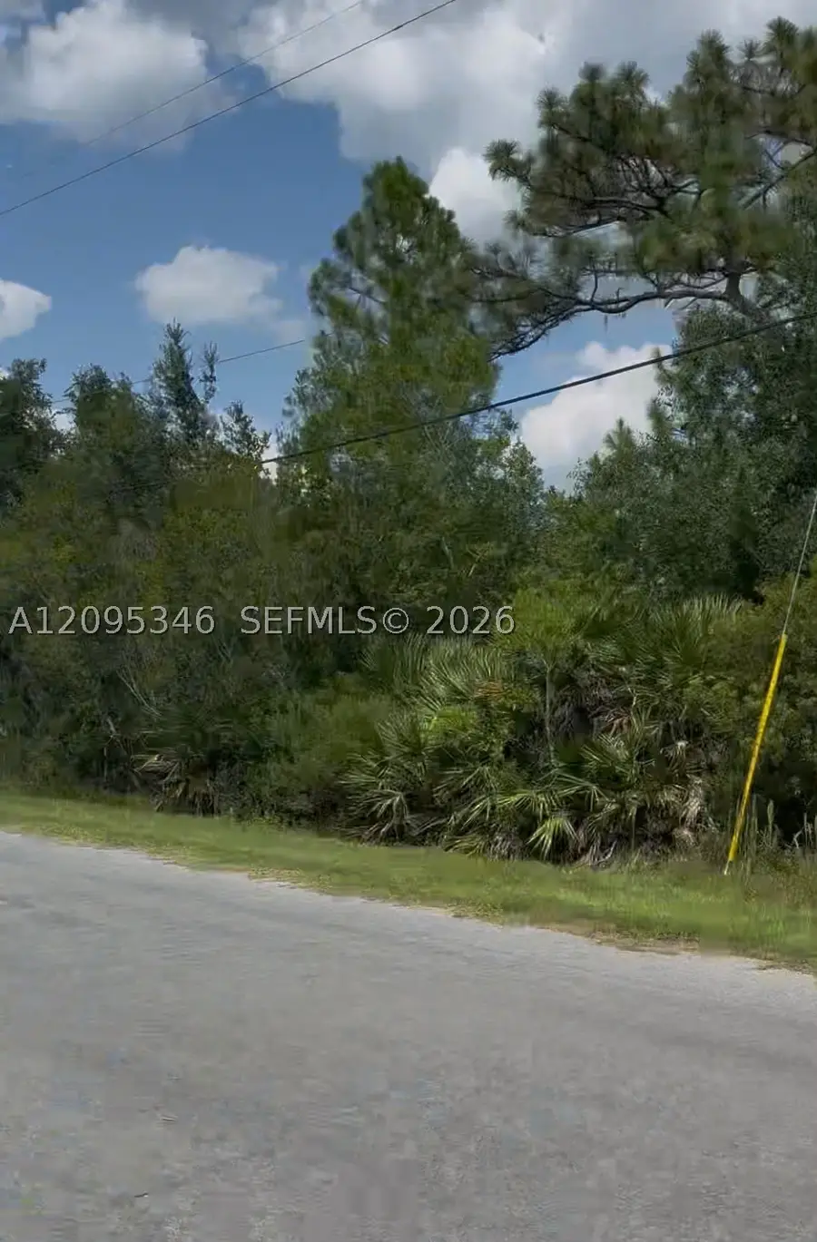 4101 Caesar, Wedgefield, FL 32833 - #3