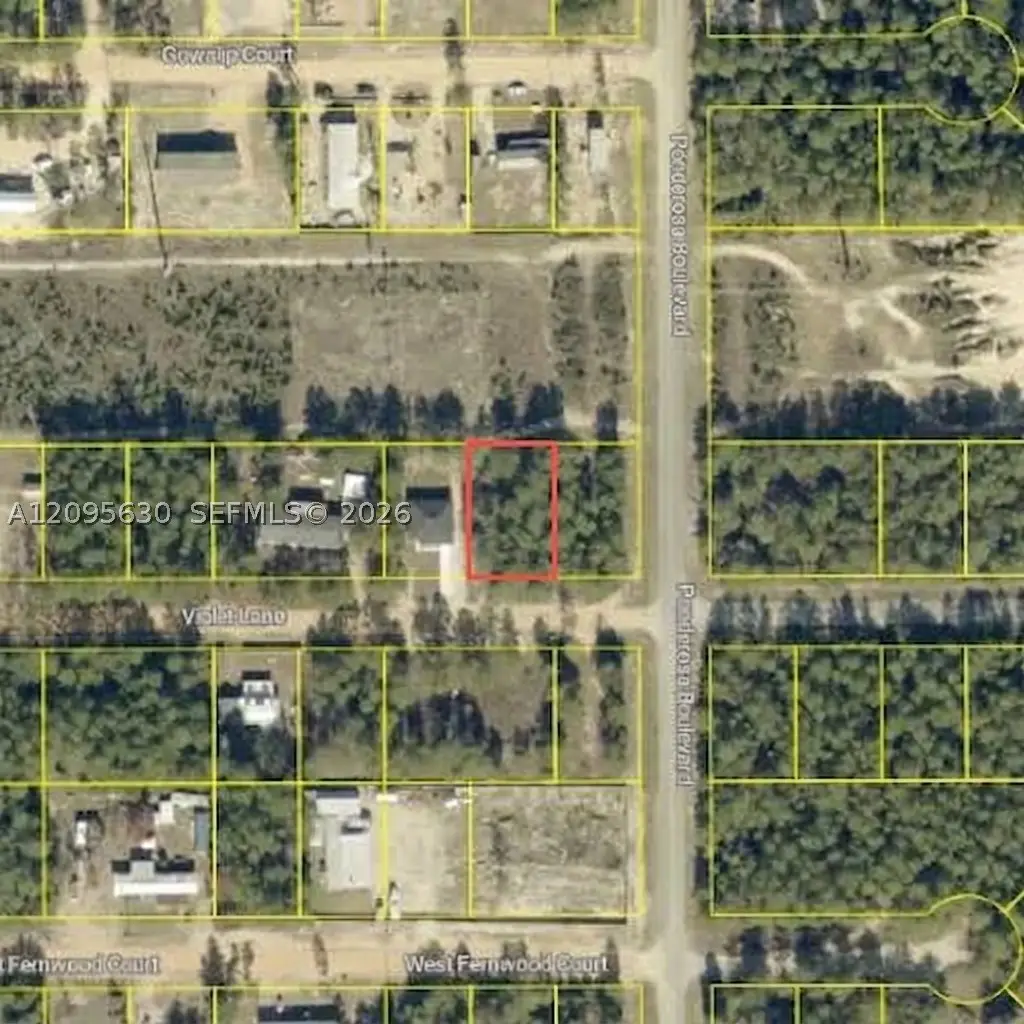 0 Violet, Paxton Darlington, FL 32433 - #1