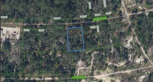 365 Stardust, Lake Placid, FL 33852
