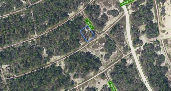 408 Hornet, Lake Placid, FL 33852