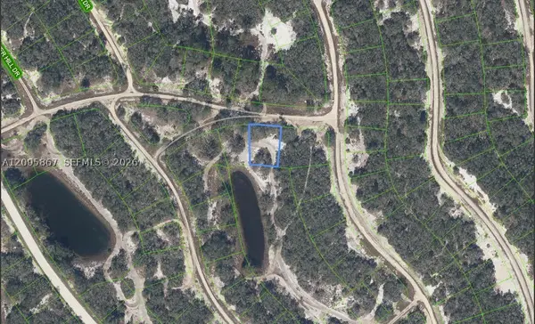 415 Eleanor, Lake Placid, FL 33852