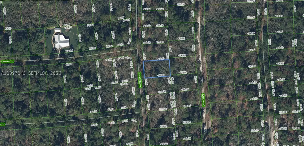269 Dreamers, Lake Placid, FL 33852 - #1