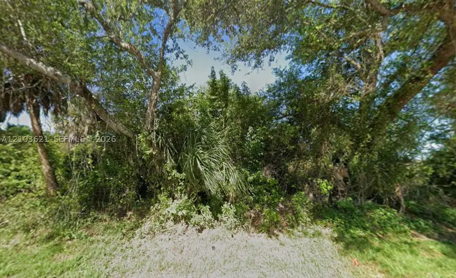 1345 Dewitt, Port Charlotte, FL 33952 - #2