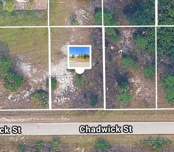 1043 Chadwick, Lehigh Acres, FL 33974