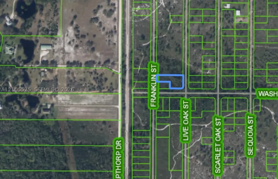 733 Franklin, Lake Placid, FL 33852 - #3