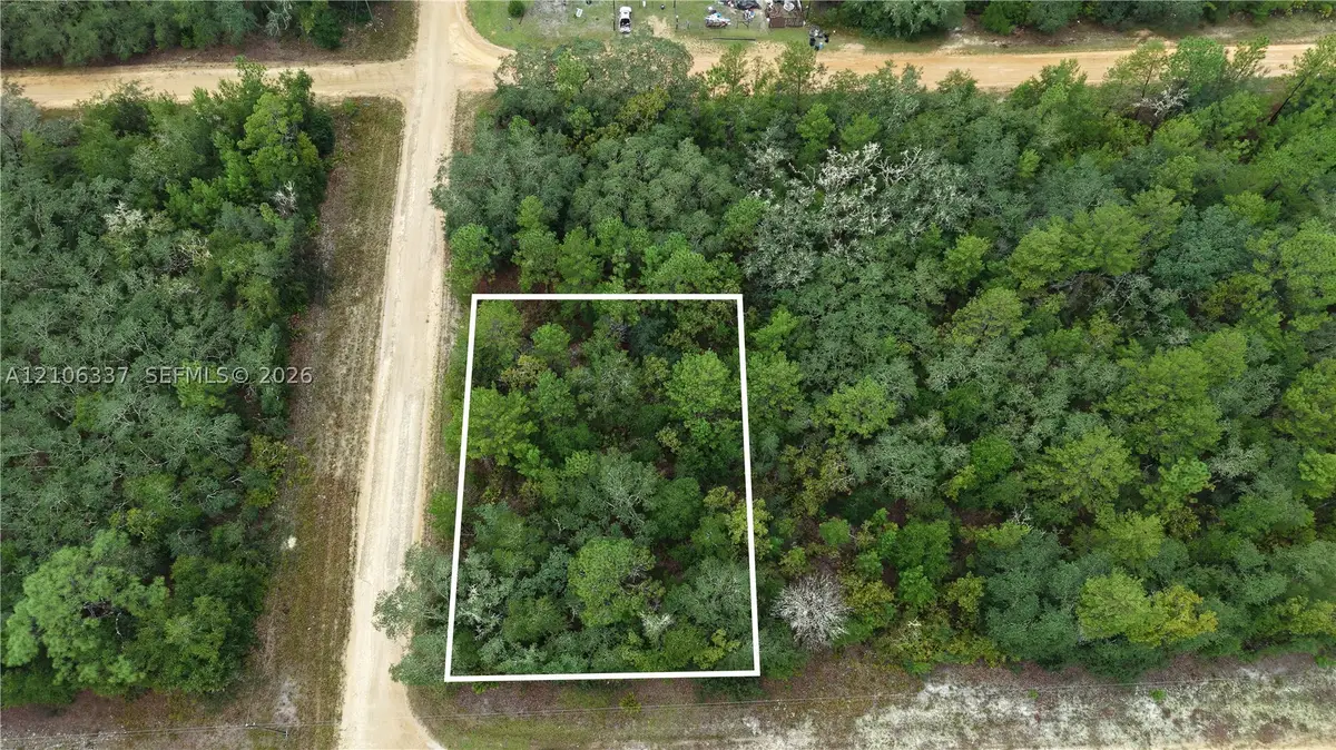 N/A Selma, Interlachen Florahome, FL 32148 - #1