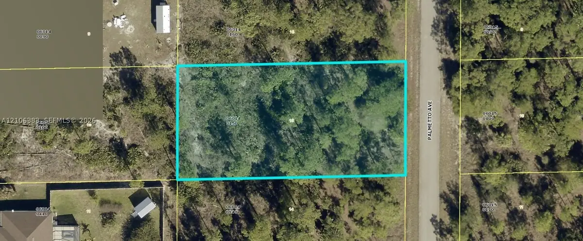 1305 Palmetto, Lehigh Acres, FL 3972 - #1