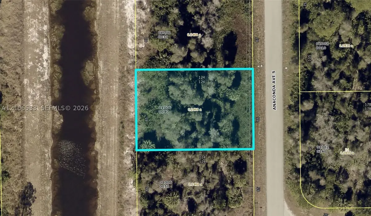908 Anaconda, Lehigh Acres, FL 33974 - #1