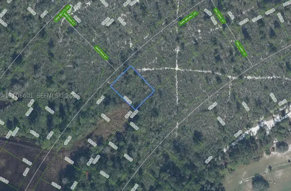 6579 San Bruno, Sebring, FL 33872