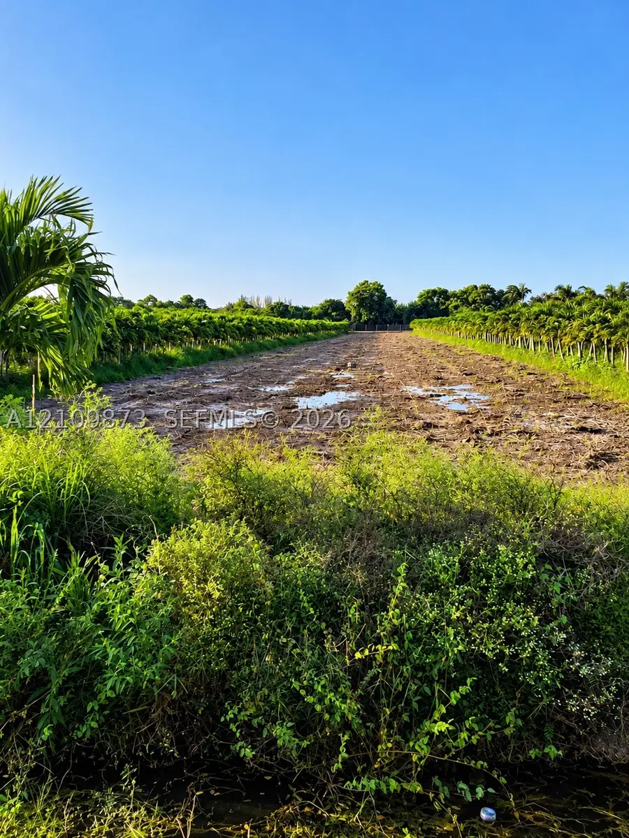 117th, Homestead, FL 33033 - #2