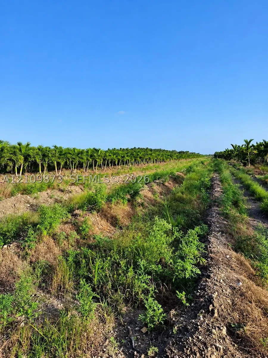 117th, Homestead, FL 33033 - #3