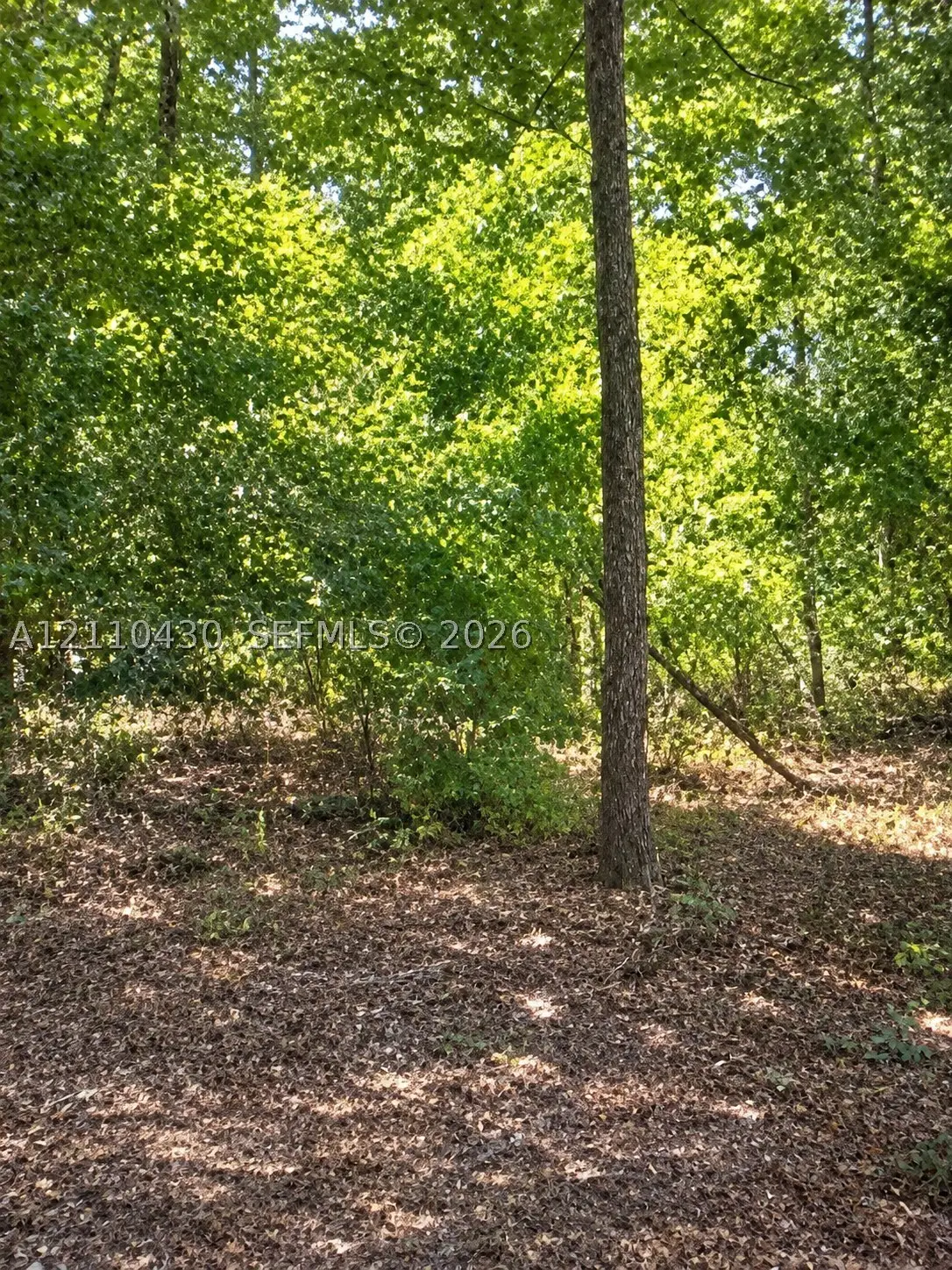 10860 N Mataro, Dunnellon, FL 34434 - #1